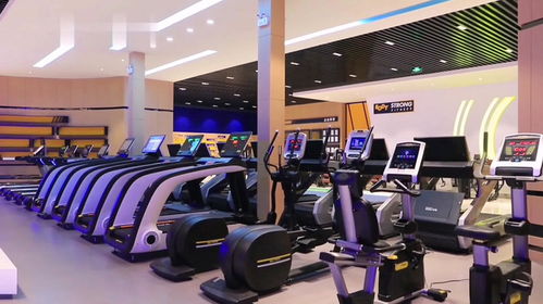 感受专业力量，触达不凡境界 —— 探访宝德龙商用健身器材产品展示厅